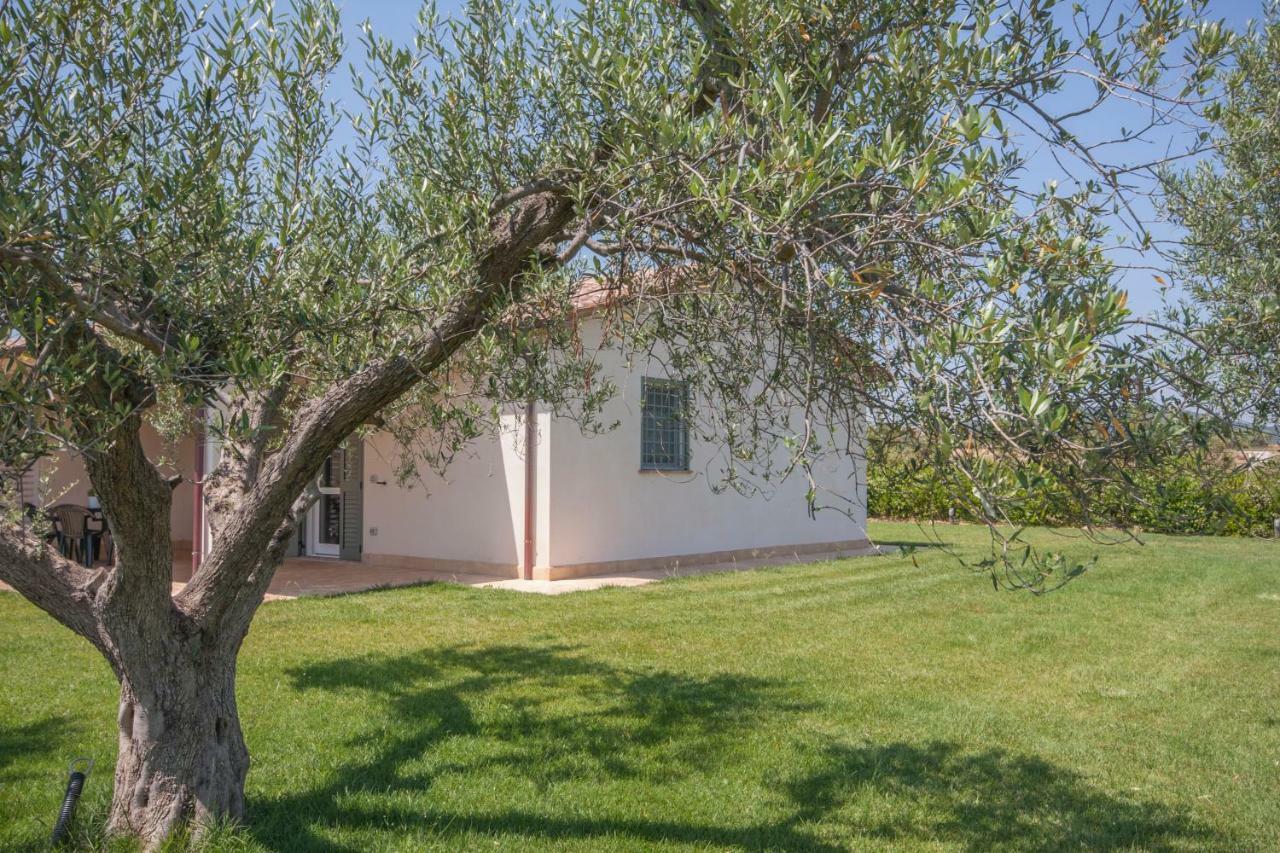 Agriturismo Il Mirto 페스키아 로마나 외부 사진