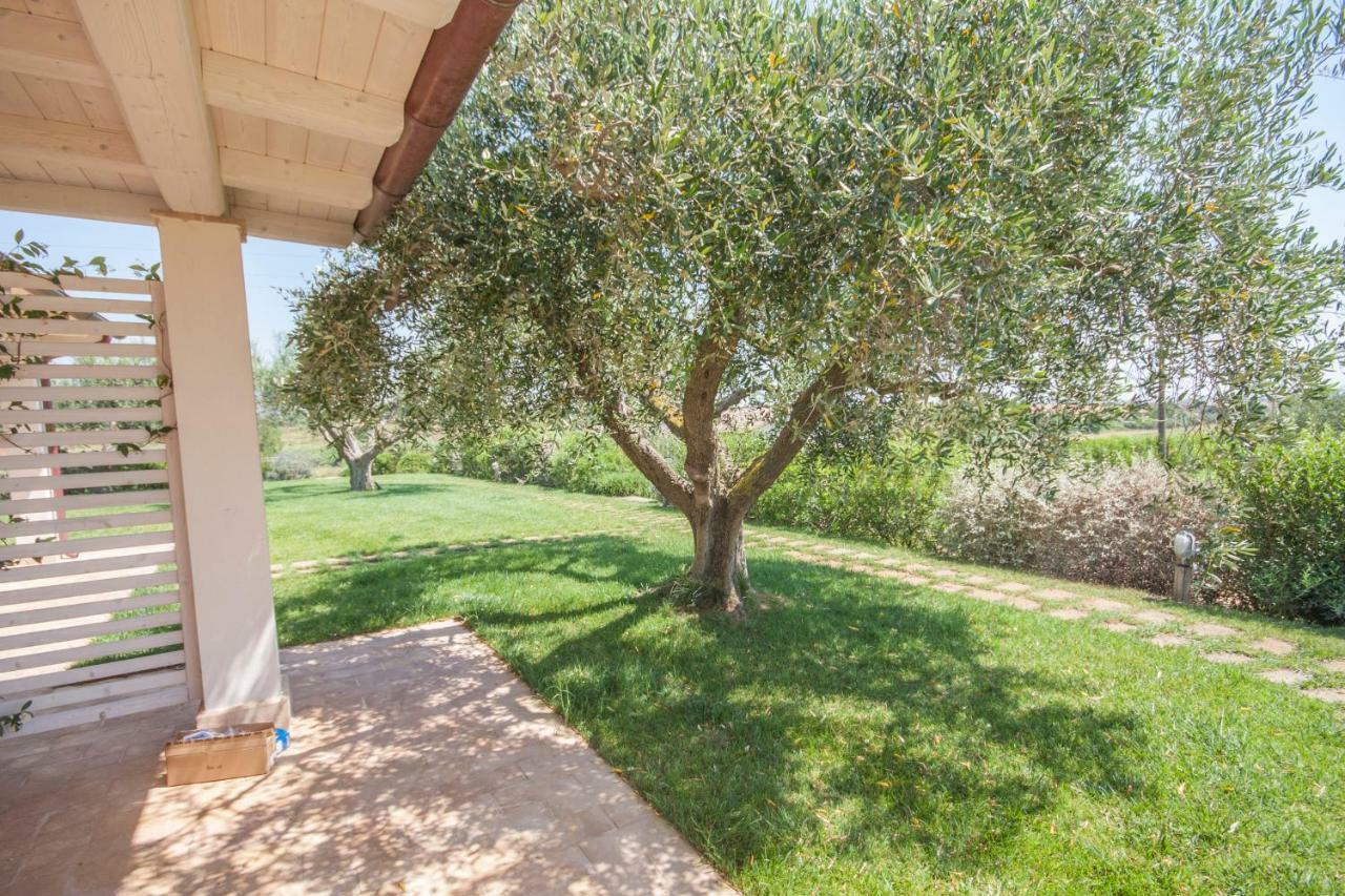 Agriturismo Il Mirto 페스키아 로마나 객실 사진
